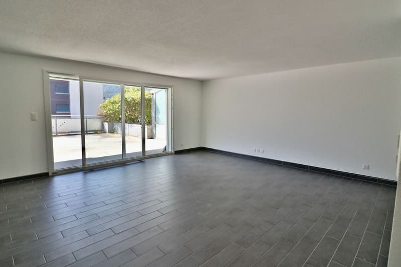 Apartment 3.5 rooms with XXL terrace (6)