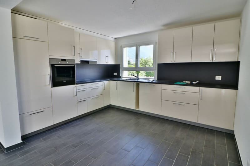 Apartment 3.5 rooms with XXL terrace (5)