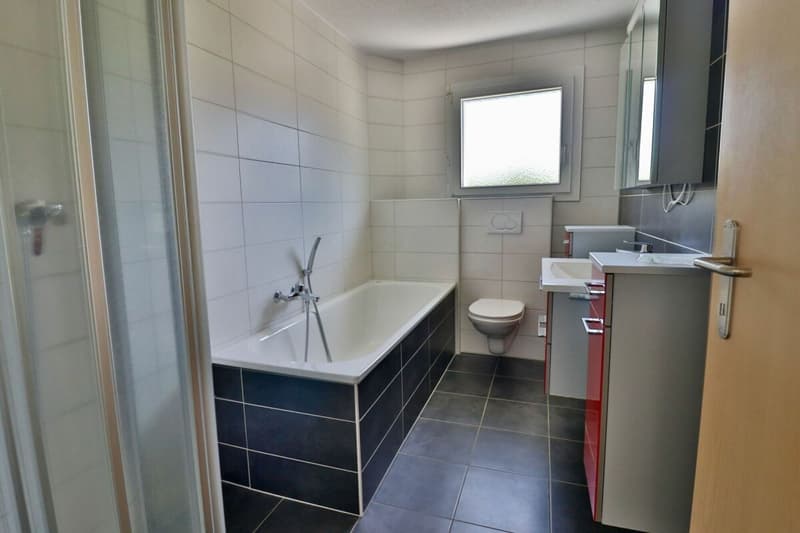 Apartment 3.5 rooms with XXL terrace (9)