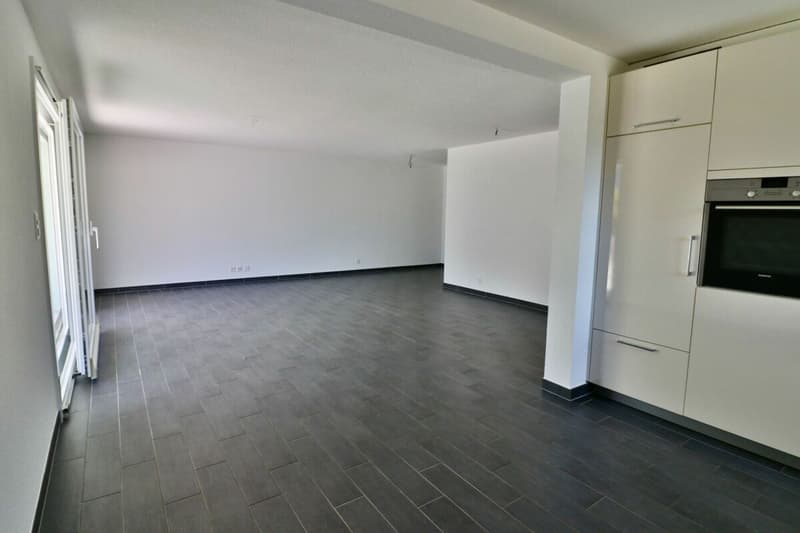 Apartment 3.5 rooms with XXL terrace (4)