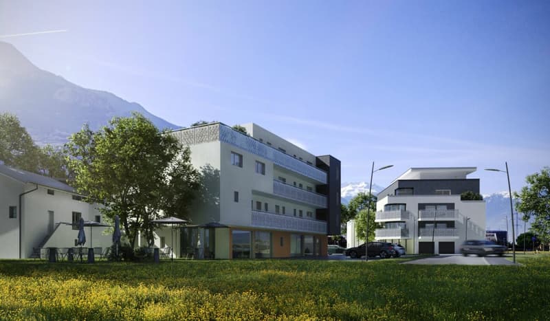 UN DUPLEX QUI VOIT GRAND DEHORS ! (7)