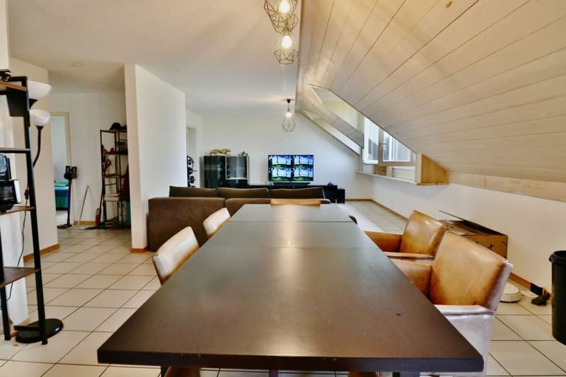4.5 PIÈCES LUMINEUX DANS UN CADRE BUCOLIQUE - PETITE PPE DE 6 LOTS (2)