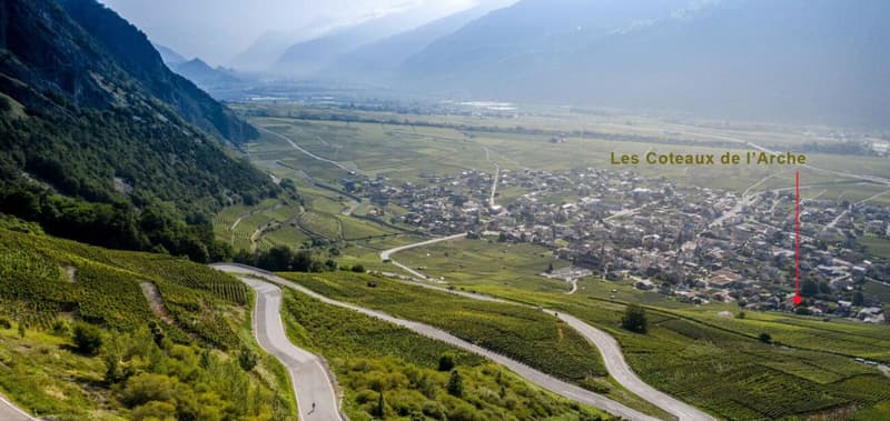 A3 - Les Vignobles de l'Arche - attique 3.5 pces (10)