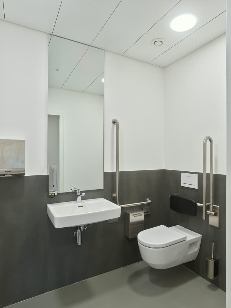 modern bathroom with white sink, mirror, toilet, and handrails