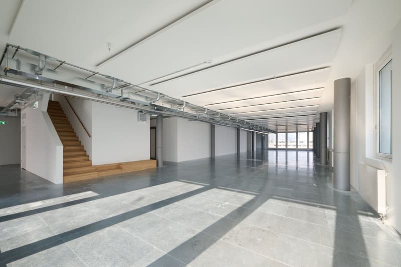 Espaces de bureau attractifs à partir de 613 m² avec terrasse spectaculaire, directement à la gare de Basel SBB (9)