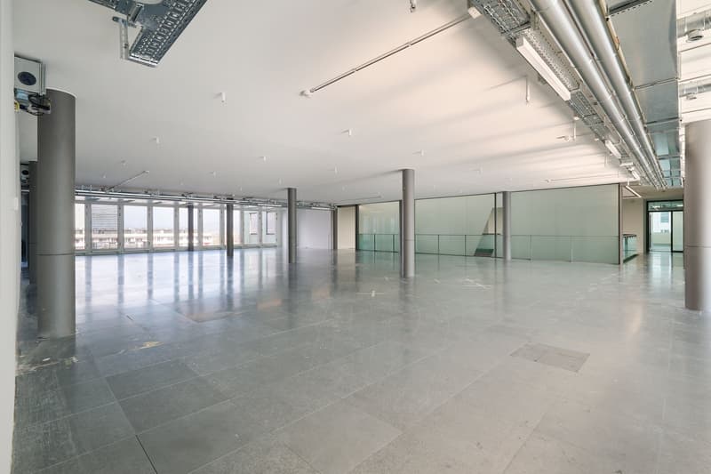 Espaces de bureau attractifs à partir de 613 m² avec terrasse spectaculaire, directement à la gare de Basel SBB (8)
