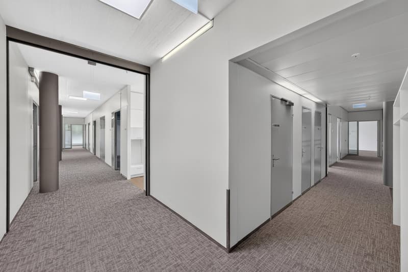 Vollausgebaute Büroflächen im Peter Merian Haus! (3)