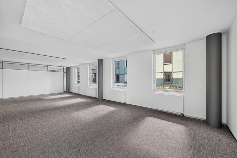 Vollausgebaute Büroflächen im Peter Merian Haus! (8)