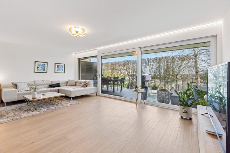 Very beautiful semi-detached house in a residential and family area, with a view of the lake and mountains (4)
