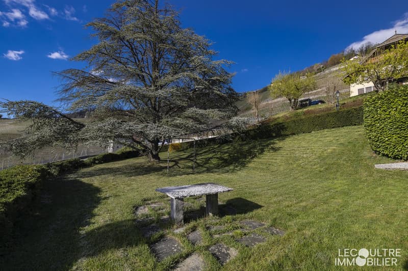 Maison villageoise, 8.5 pièces, 366.67 m2