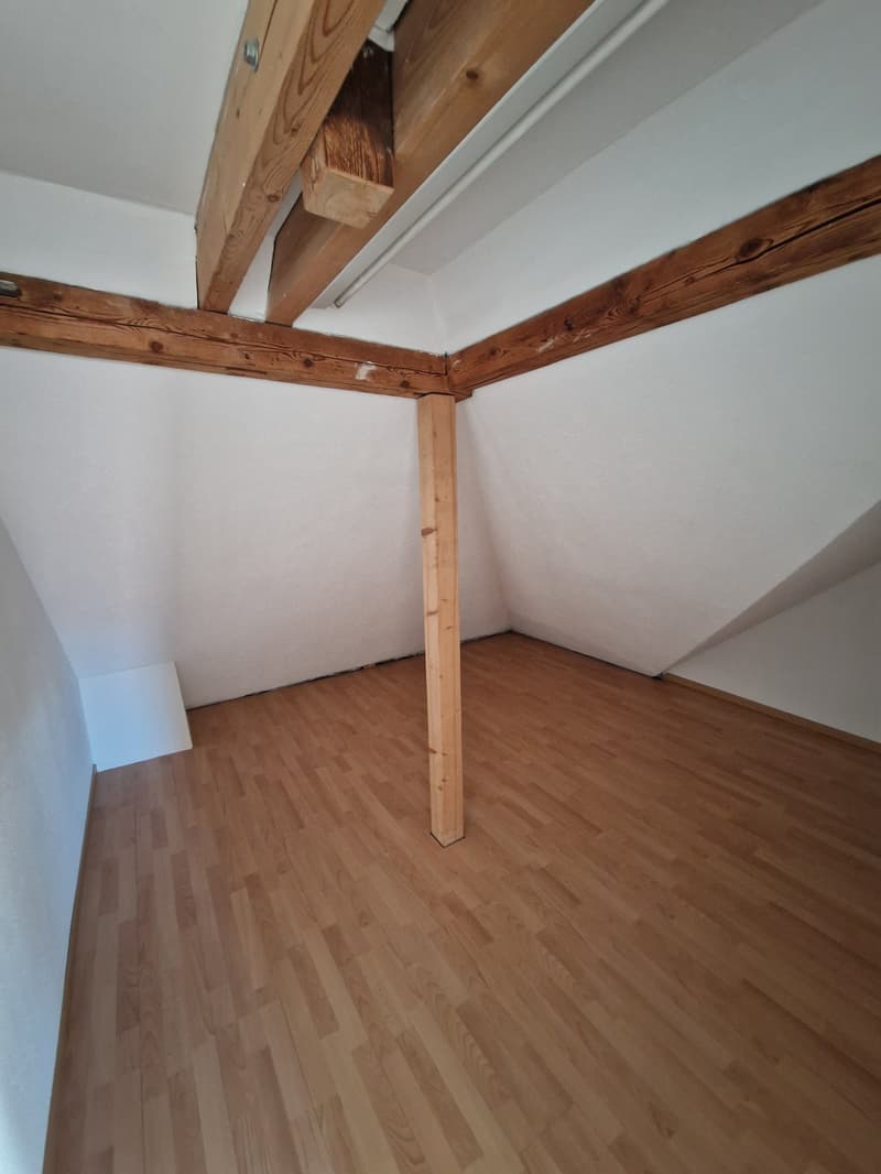 Charmante 3.5-Zimmer-Dachwohnung mit Panoramablick in Zürich-Wipkingen / befristete bis 31.09.2027 (10)