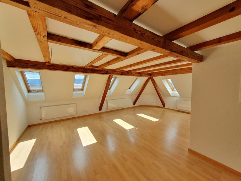 Charmante 3.5-Zimmer-Dachwohnung mit Panoramablick in Zürich-Wipkingen / befristete bis 31.09.2027 (4)