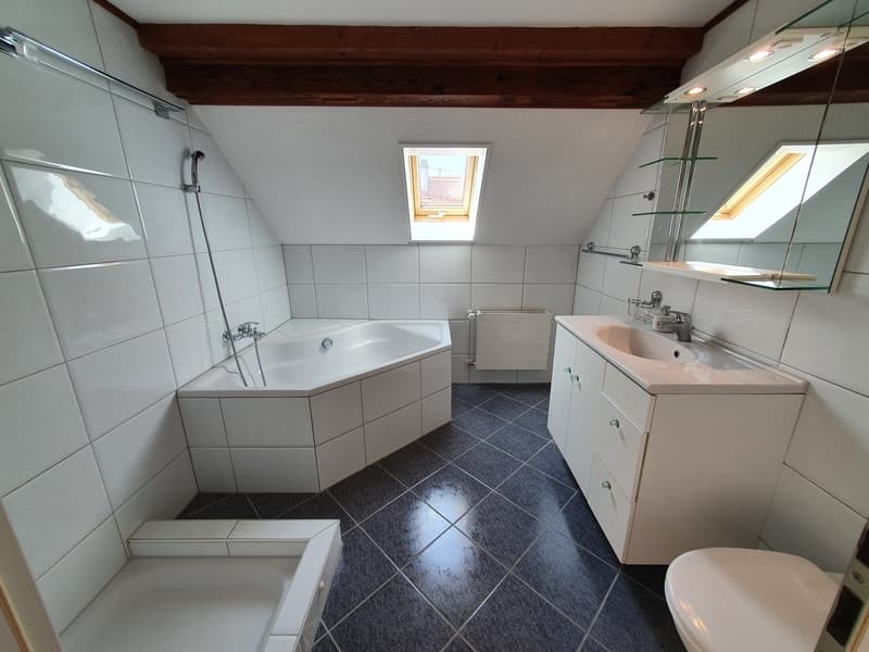 Charmante 3.5-Zimmer-Dachwohnung mit Panoramablick in Zürich-Wipkingen / befristete bis 31.09.2027 (13)