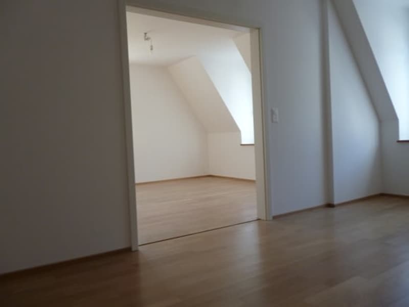 Einzigartige 3,5-Zi. Dachwohnung, Nähe Rieterpark, Zürich-Enge (11)