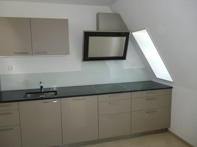 Einzigartige 3,5-Zi. Dachwohnung, Nähe Rieterpark, Zürich-Enge (6)