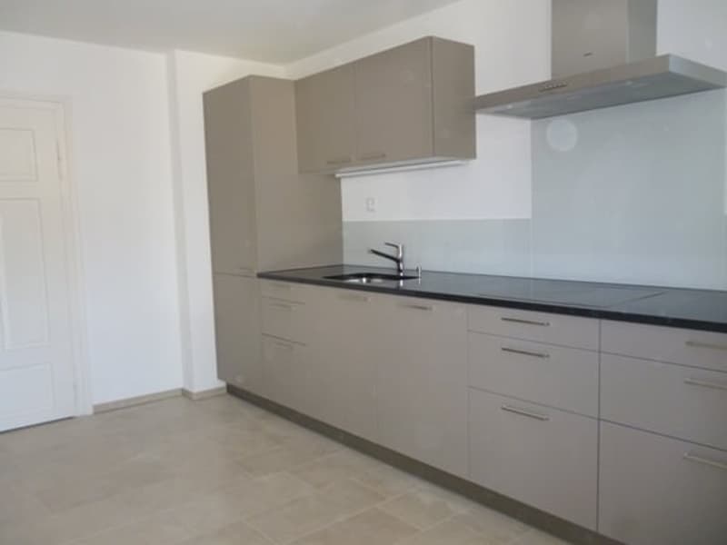 Einzigartige 3,5-Zi. Dachwohnung, Nähe Rieterpark, Zürich-Enge (4)