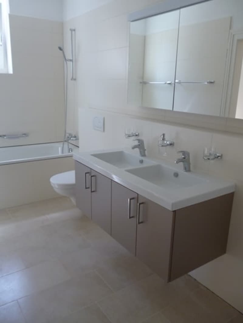 Einzigartige 3,5-Zi. Dachwohnung, Nähe Rieterpark, Zürich-Enge (14)