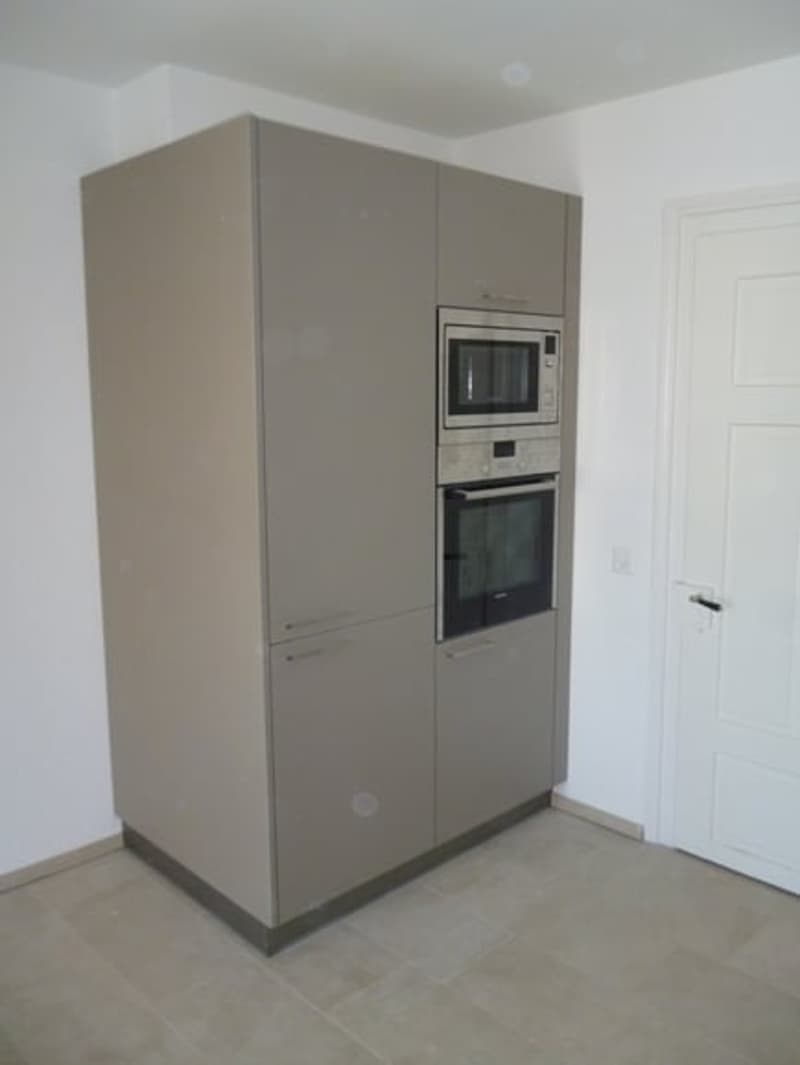 Einzigartige 3,5-Zi. Dachwohnung, Nähe Rieterpark, Zürich-Enge (8)