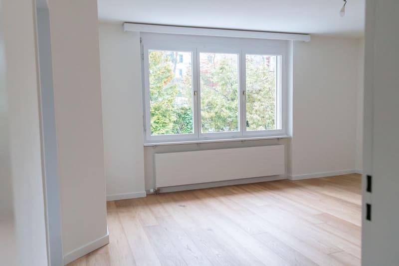 Appartamento attico esclusivo di 4,5 locali con grande terrazza e vista sul lago (6)