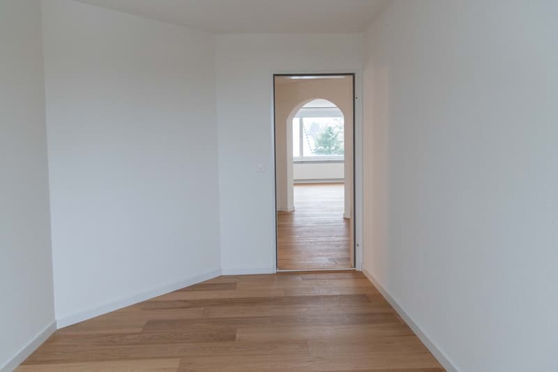Appartamento attico esclusivo di 4,5 locali con grande terrazza e vista sul lago (10)