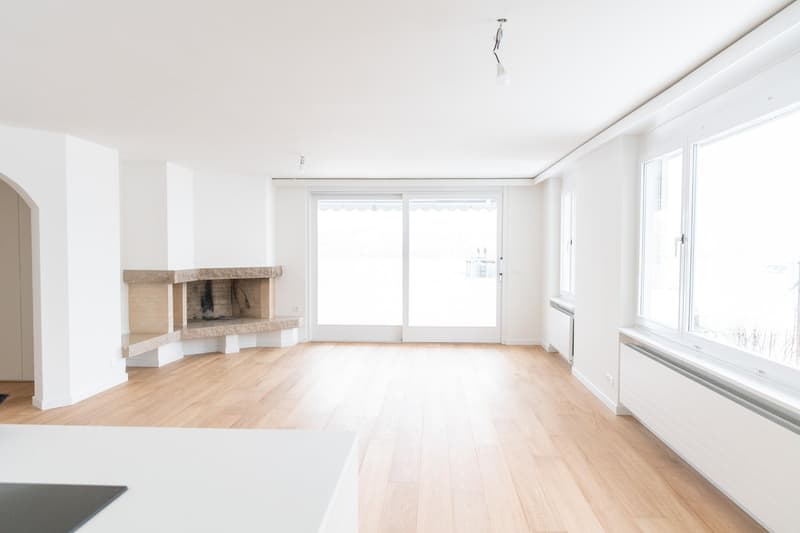 Appartamento attico esclusivo di 4,5 locali con grande terrazza e vista sul lago (5)