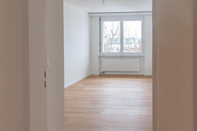 Appartamento attico esclusivo di 4,5 locali con grande terrazza e vista sul lago (7)