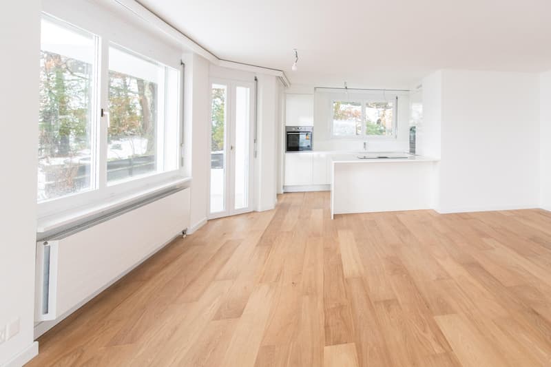 Appartamento attico esclusivo di 4,5 locali con grande terrazza e vista sul lago (4)