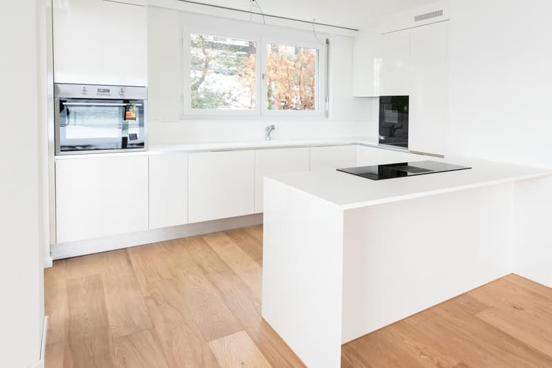 Appartamento attico esclusivo di 4,5 locali con grande terrazza e vista sul lago (3)