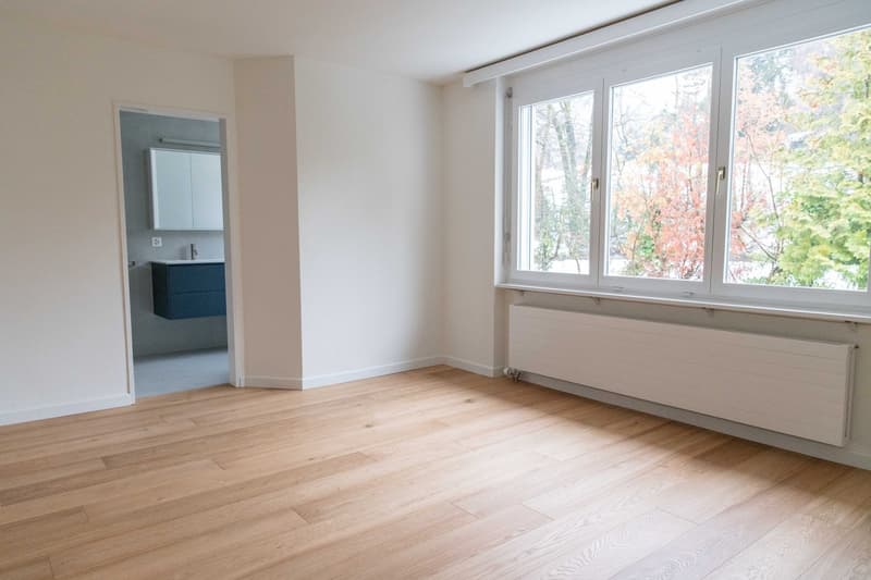 Appartamento attico esclusivo di 4,5 locali con grande terrazza e vista sul lago (9)