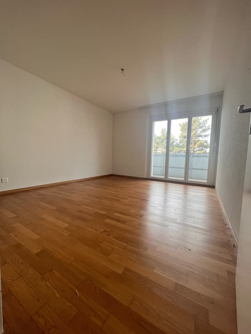 Incantevole appartamento di 4,5 locali con balcone a Pfäffikon ZH (4)