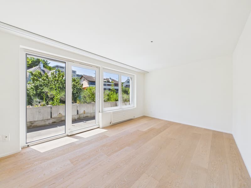 Vivere con vista panoramica sul lago: appartamento spazioso 5.5 locali con terrazza XXL (8)