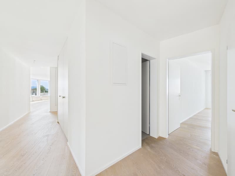 Vivere con vista panoramica sul lago: appartamento spazioso 5.5 locali con terrazza XXL (12)