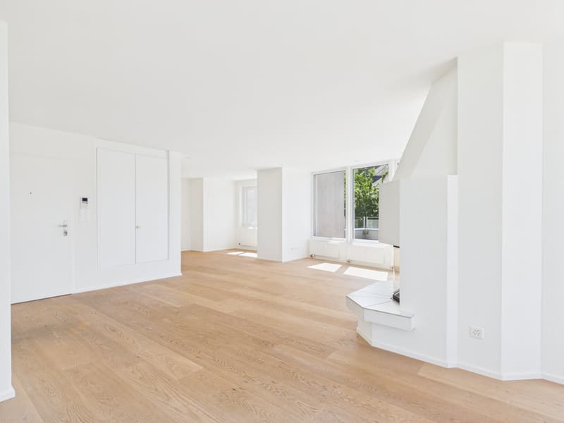Vivere con vista panoramica sul lago: appartamento spazioso 5.5 locali con terrazza XXL (5)