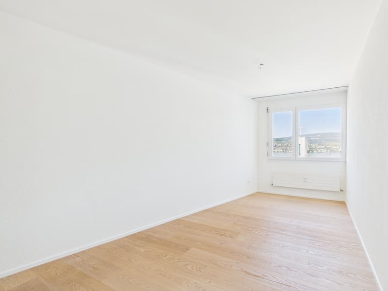 Vivere con vista panoramica sul lago: appartamento spazioso 5.5 locali con terrazza XXL (11)