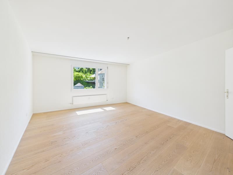 Vivere con vista panoramica sul lago: appartamento spazioso 5.5 locali con terrazza XXL (9)