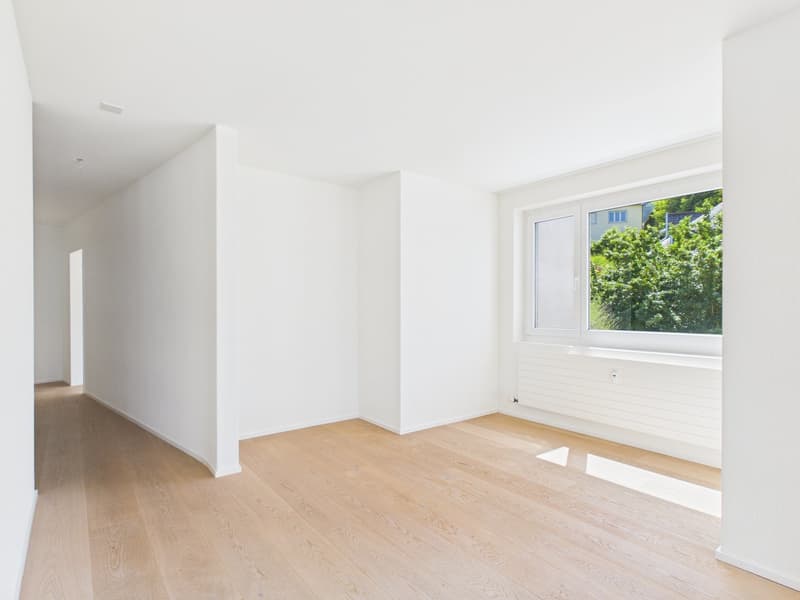 Vivere con vista panoramica sul lago: appartamento spazioso 5.5 locali con terrazza XXL (6)