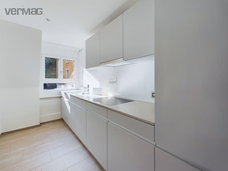 Charming 3-room apartment on Seestrasse in Horgen (2)