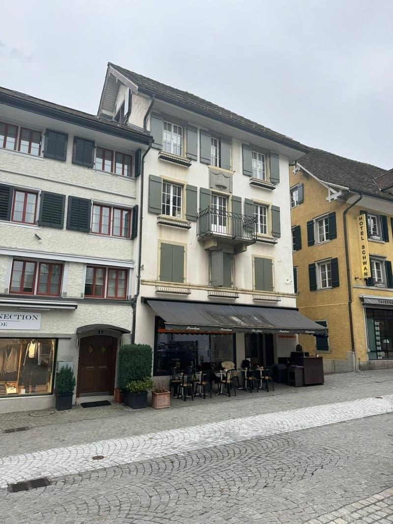 Charmant appartement 4 pièces dans un immeuble ancien avec vue sur le lac à Horgen (1)