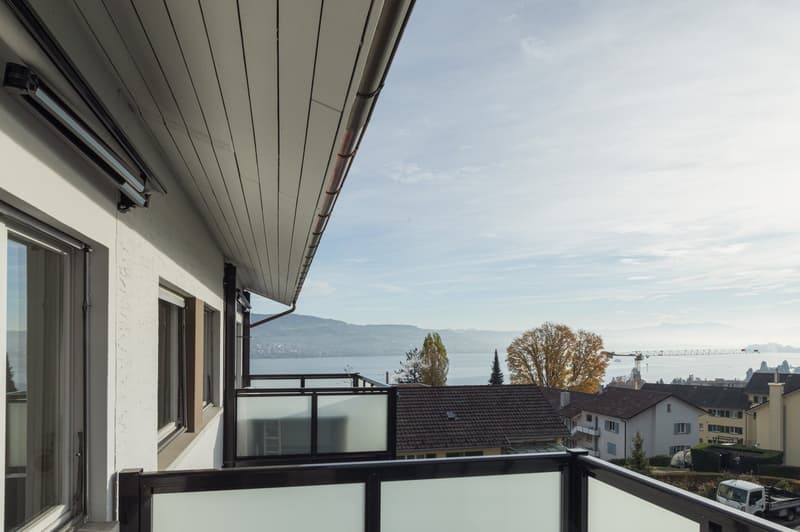 Incantevole appartamento di 4 locali con balcone in una posizione tranquilla a Horgen (4)