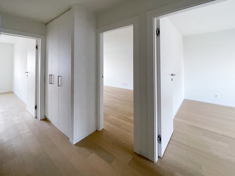 Incantevole appartamento di 4 locali con balcone in una posizione tranquilla a Horgen (7)