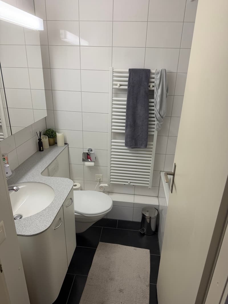 Gepflegte 3.5-Zimmer-Wohnung mit Balkon in Horgen – ab 01. November 2026 verfügbar (8)