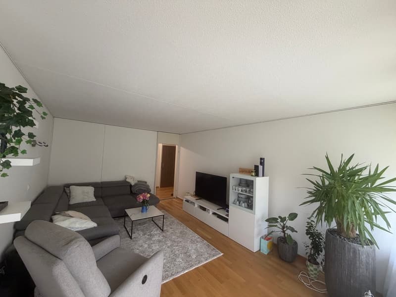 Gepflegte 3.5-Zimmer-Wohnung mit Balkon in Horgen – ab 01. November 2026 verfügbar (1)