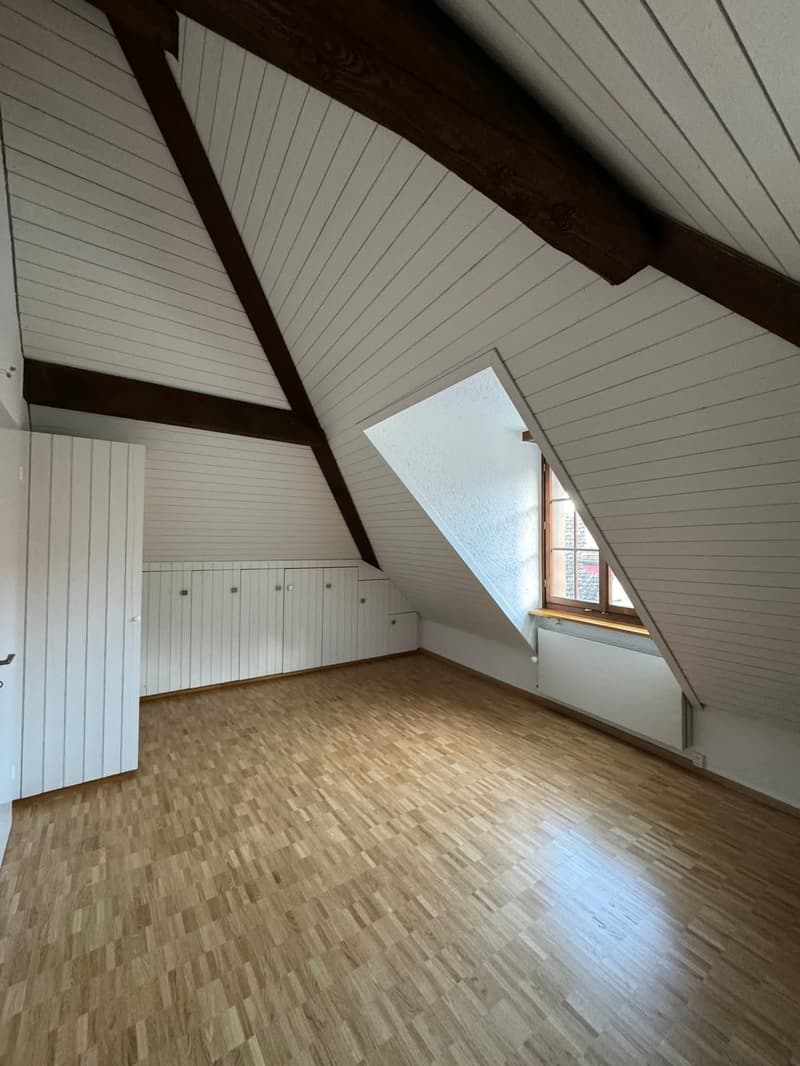 Charmante 4-Zimmer-Altbauwohnung mit Seeblick in Horgen (7)
