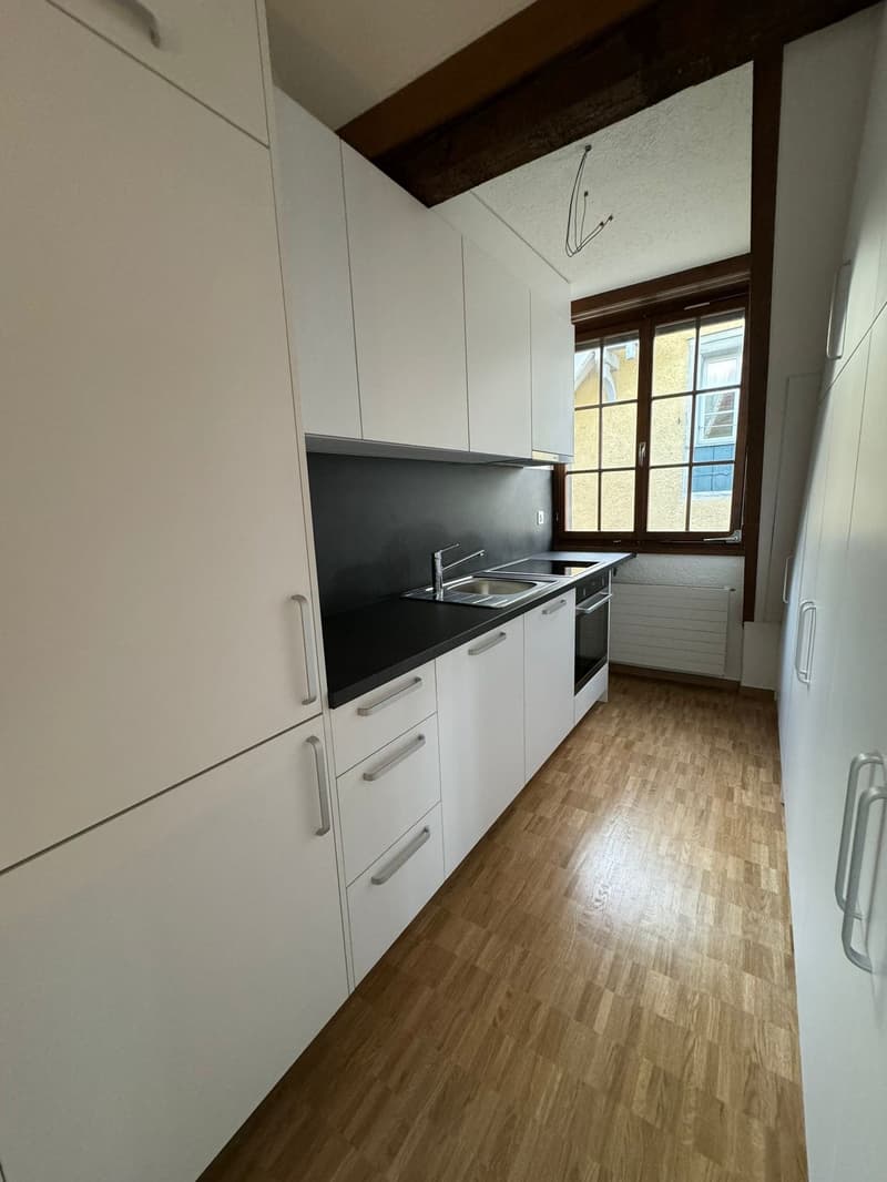 Charmante 4-Zimmer-Altbauwohnung mit Seeblick in Horgen (2)