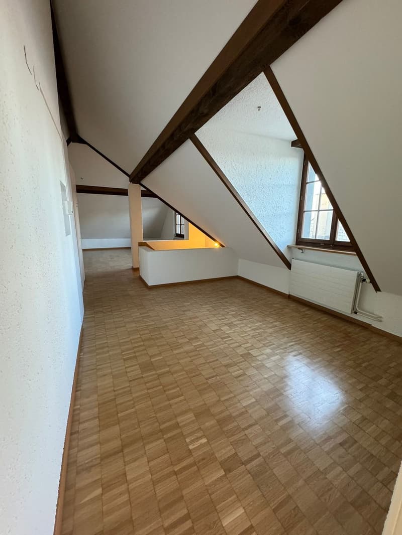Charmante 4-Zimmer-Altbauwohnung mit Seeblick in Horgen (4)