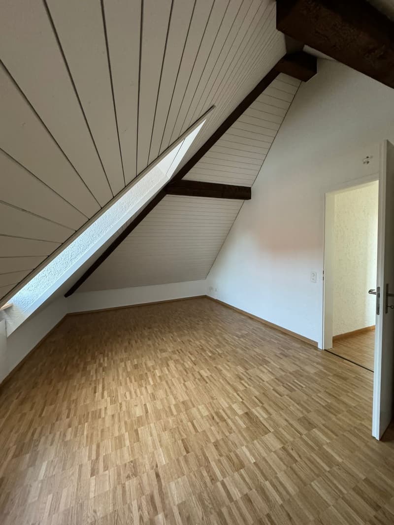 Charmante 4-Zimmer-Altbauwohnung mit Seeblick in Horgen (6)