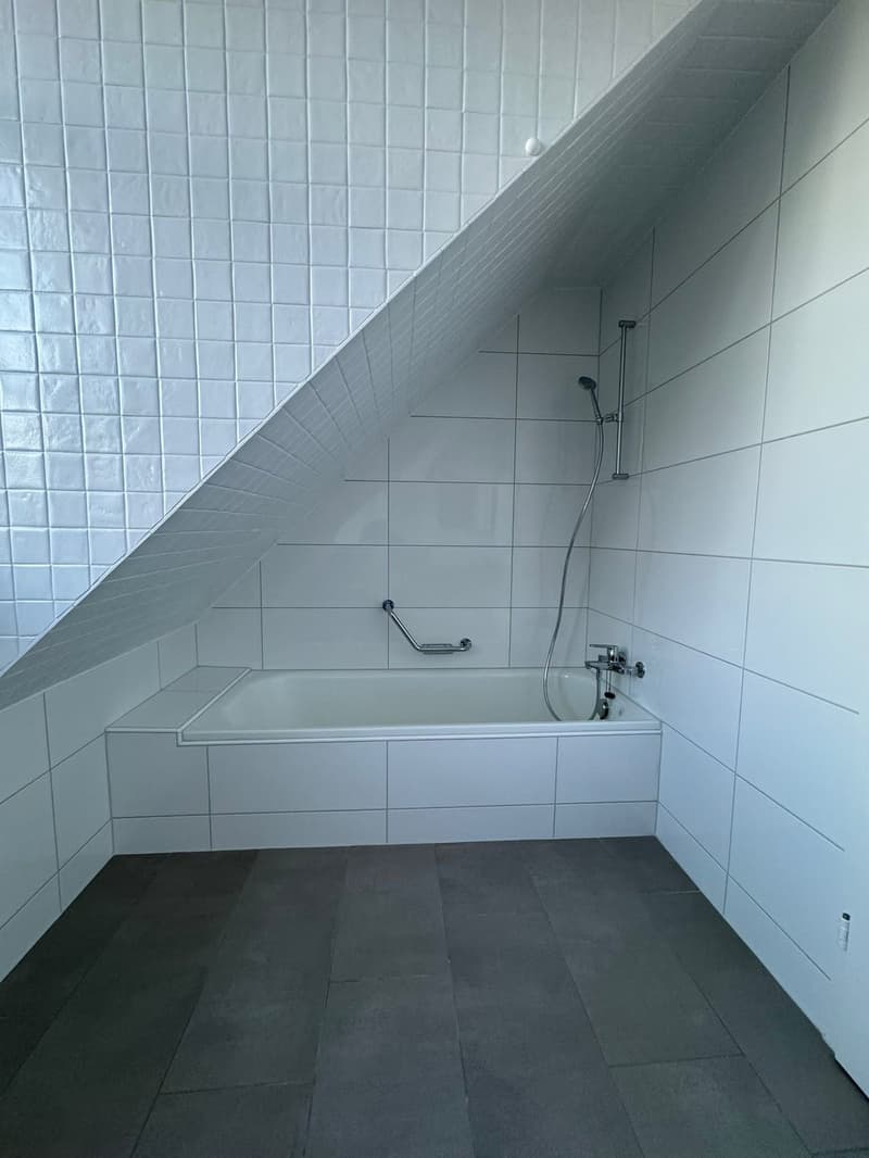 Charmante 4-Zimmer-Altbauwohnung mit Seeblick in Horgen (8)