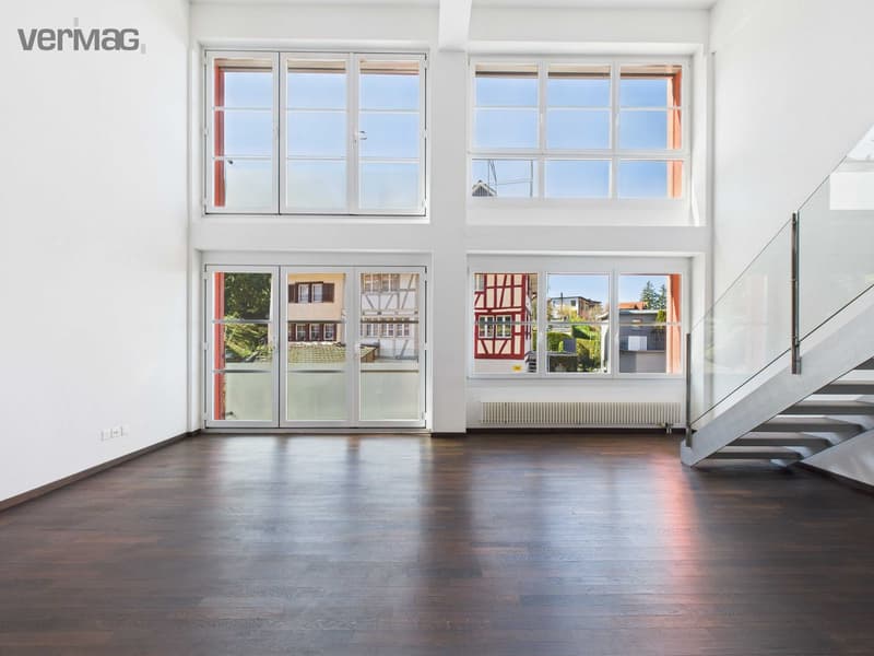 Einzigartiges 4.5-Zimmer-Loft mit viel Raum und besonderem Wohngefühl (2)