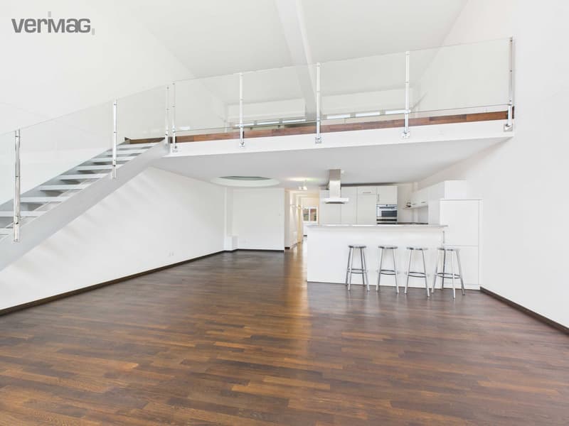 Einzigartiges 4.5-Zimmer-Loft mit viel Raum und besonderem Wohngefühl (3)