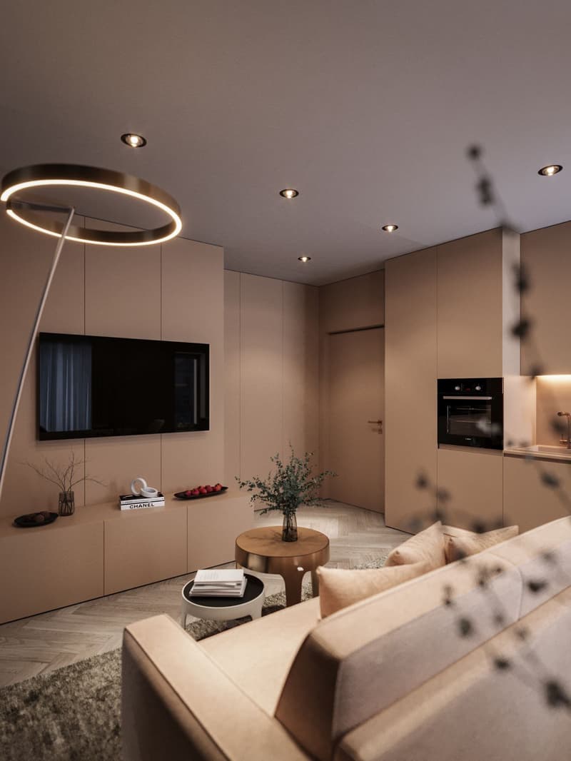 Modern, fully renovated and fully furnished 2-2.5 room apartments in Altstetten. (3)